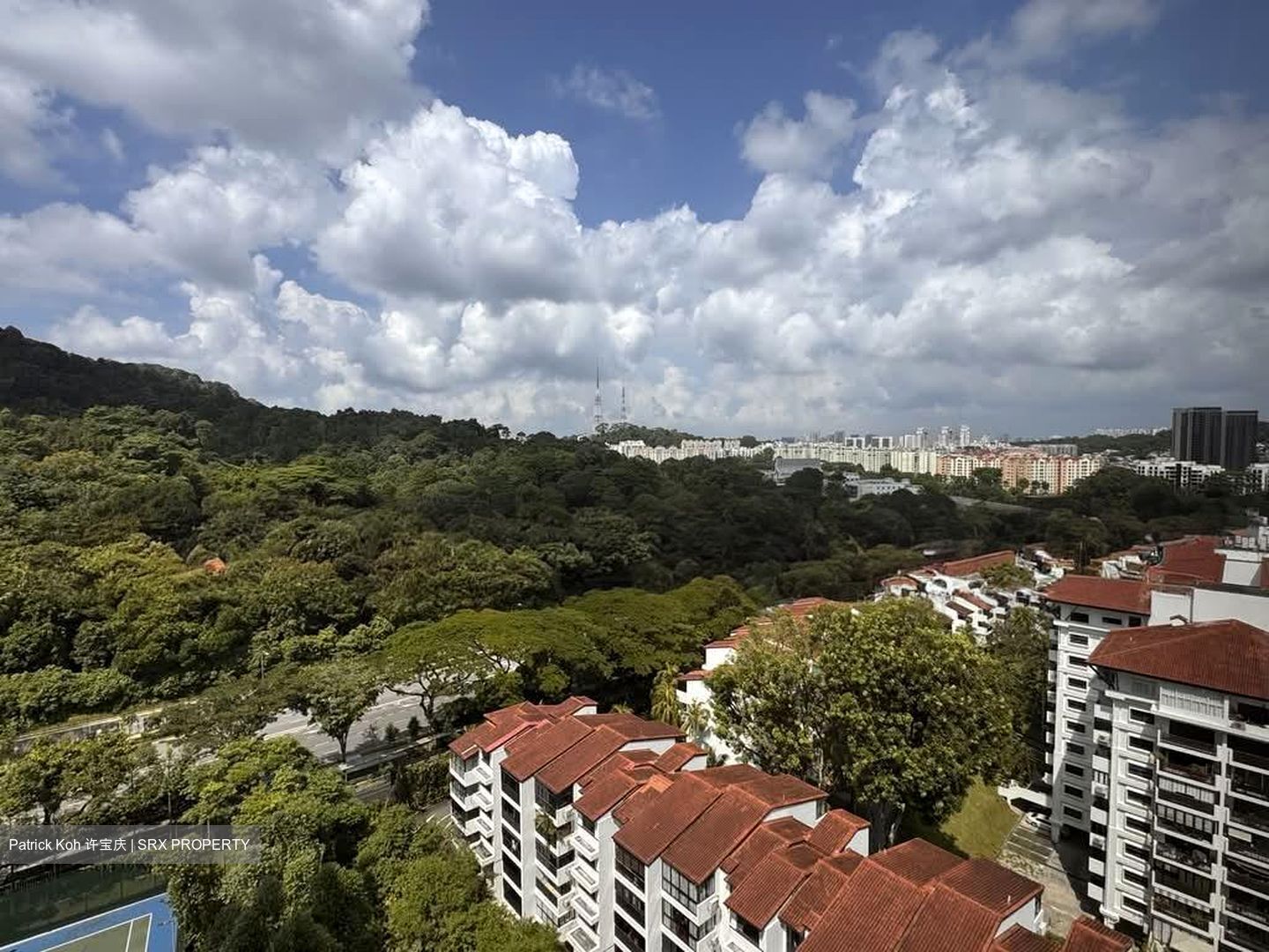 The Skywoods (D23), Condominium #580240881